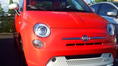 Se espera que se vendan más vehículos eléctricos, y más tipos de vehículos eléctricos, este año.