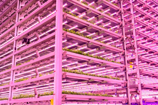 Sobre los 10 años de 'The Vertical Farm'