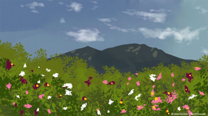 Bold de Colombia recauda $ 55 millones en ronda liderada por Tiger Global para permitir pagos digitales en LatAm