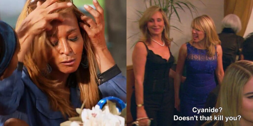 The Real Housewives: 10 escenas que aún hacen reír a los fanáticos, según Reddit