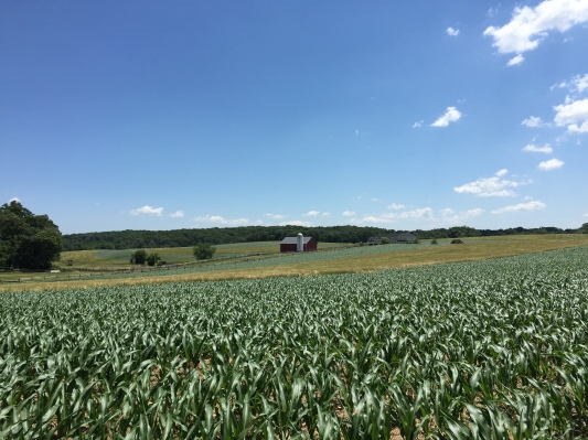 Un eBay para el comercio de granos, FarmLead, recauda $ 6.5 millones Serie A