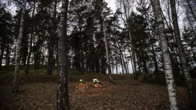Tumba del migrante desconocido junto a la del sirio Ahmad al Hasan, este jueves en el cementerio de Bohoniki.