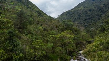 El trazado de la carretera pondrá en riesgo por su paso el Páramo Las Tinajas y Páramo las Hermosas. 