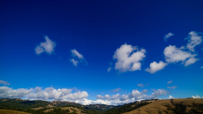 Vinsight ofrece a los productores de uvas y almendras una bola de cristal de alta tecnología