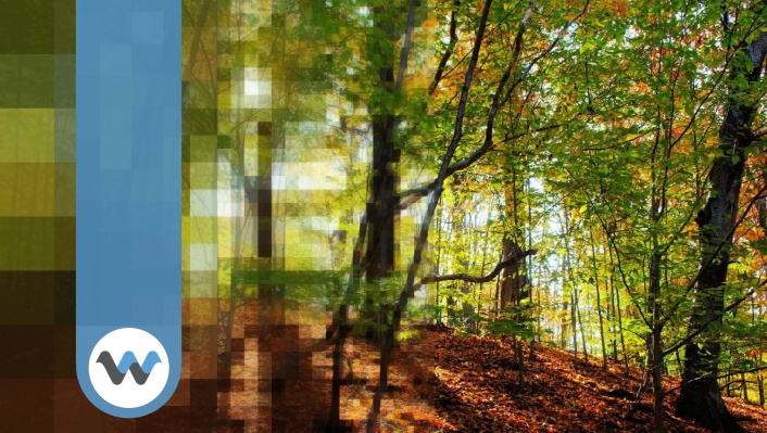 WaveOne tiene como objetivo hacer que el video sea nativo de la IA y convertir la transmisión al revés