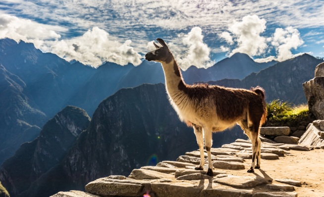 Winamp regresa en 2019 para azotar el culo de la llama con más fuerza que nunca