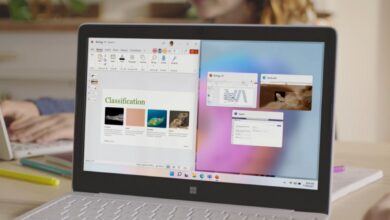Windows 11 SE: lo que lo hace diferente y perfecto para el aula