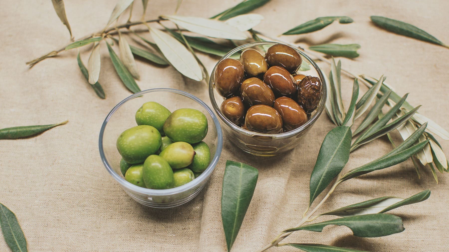 ¿Cuándo es la recogida de la aceituna?