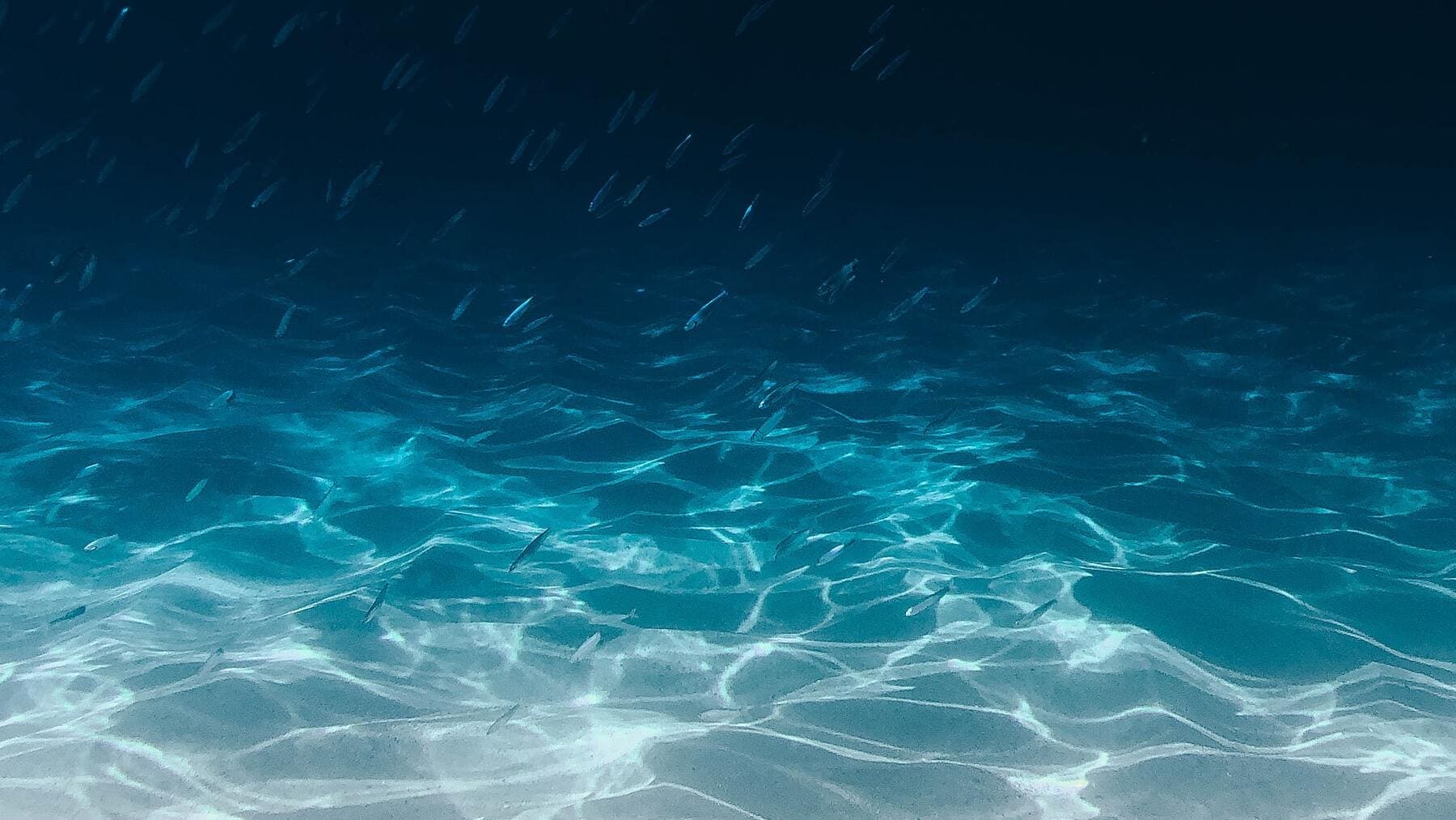 ¿Por qué el Océano Índico se llama así?