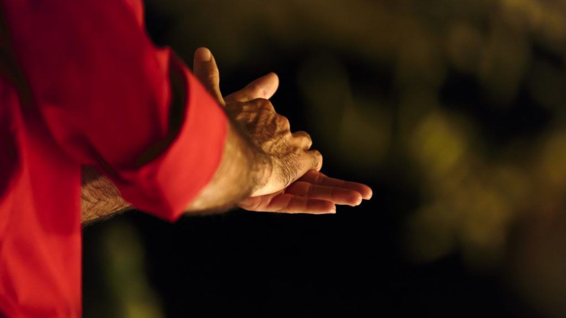 ¿Por qué se celebra el día internacional del flamenco el 16 de noviembre?