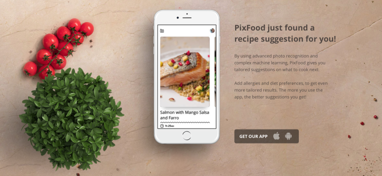 ¿No es un perro cerdo?  PixFood te permite disparar e identificar alimentos