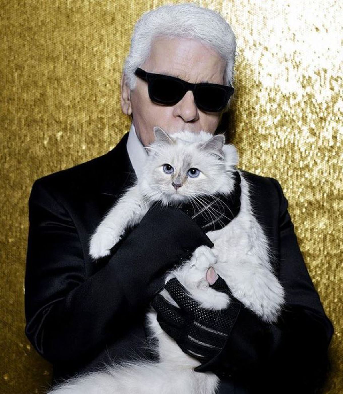 Un poco de Karl Lagerfeld es mucho