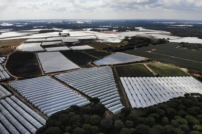 Vista aérea de invernaderos de fresas cercanos a Doñana.