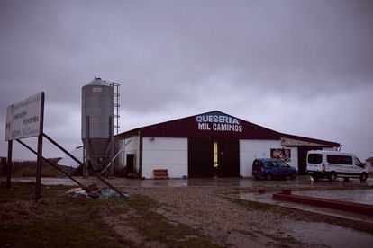 En la quesería se elaboran 5.000 kilos de queso al año, uno de los mejores de Castilla y León, según explica Daniel. La fundación también produce vino, aceite y miel, que comercializa para financiar sus actividades y dar asignaciones mensuales a los jóvenes.