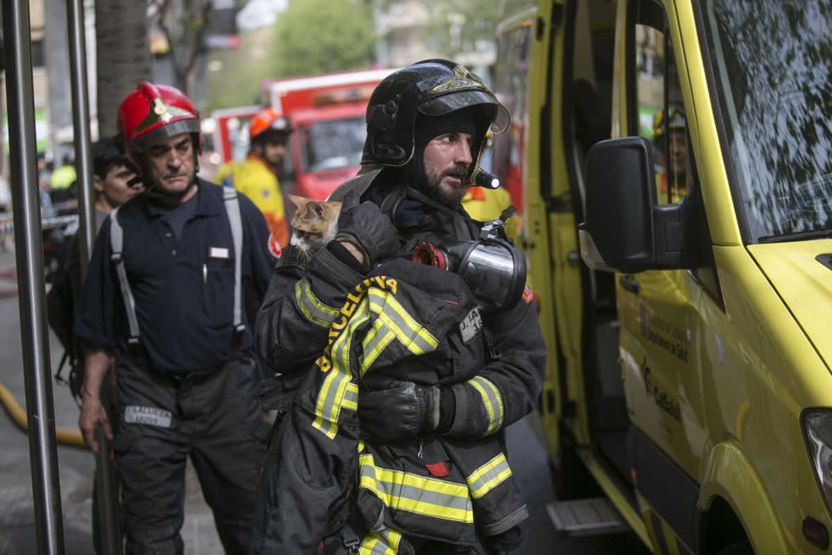 Un juez anula una oposición de bomberos de Palencia por considerar que favorece a las mujeres
