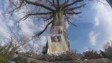 Mantienen vivo el recuerdo de la pequeña Dulce María y urgen que siga la búsqueda
