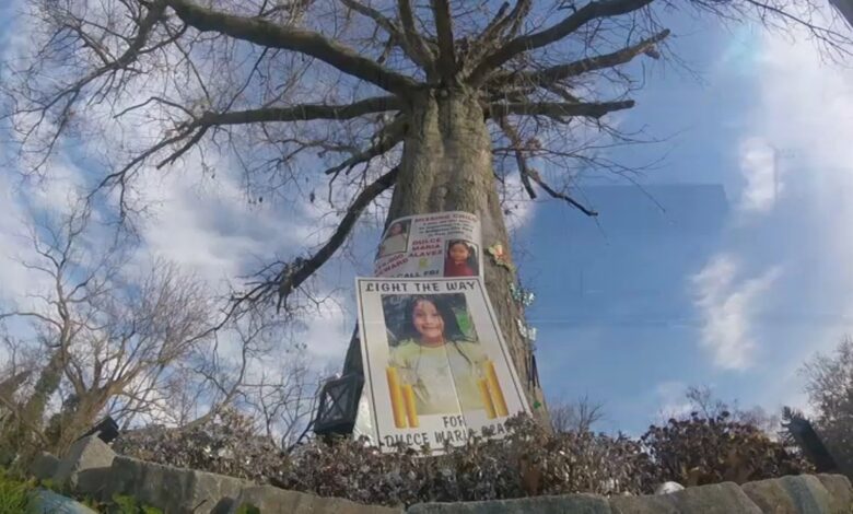 Mantienen vivo el recuerdo de la pequeña Dulce María y urgen que siga la búsqueda