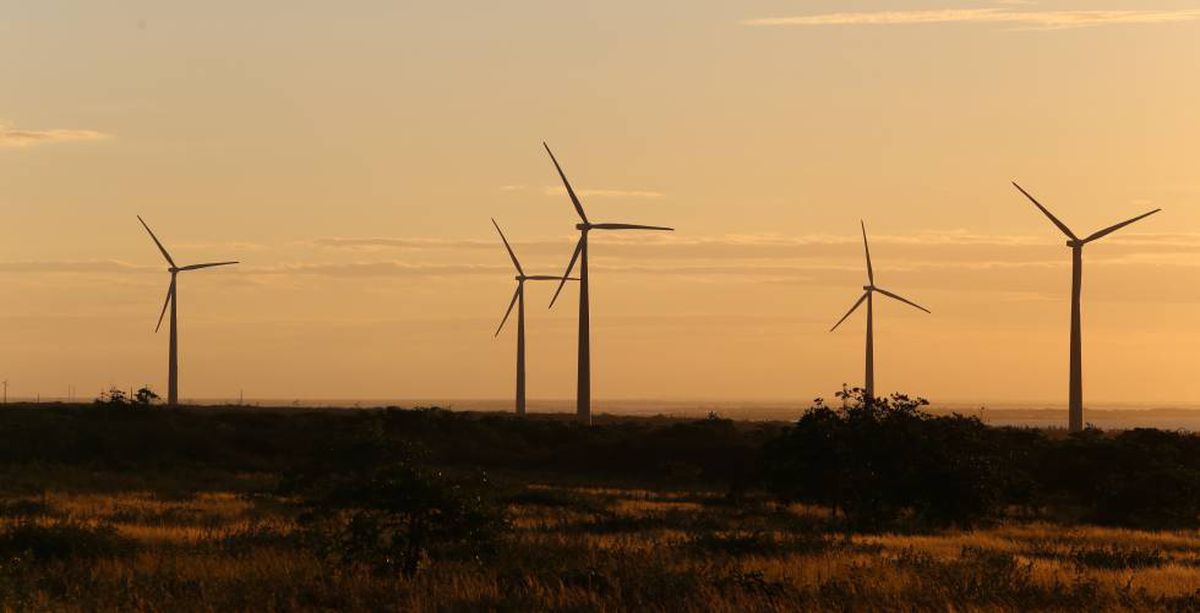 La menor demanda y la mayor generación eólica moderan el precio de la electricidad por Navidad
