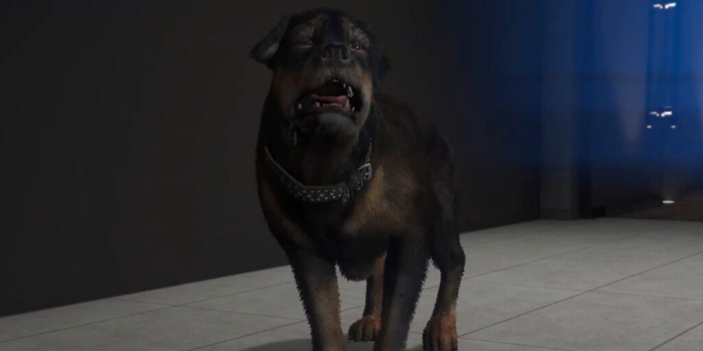 Al jugador de GTA Online le roban la cama de la forma más adorable