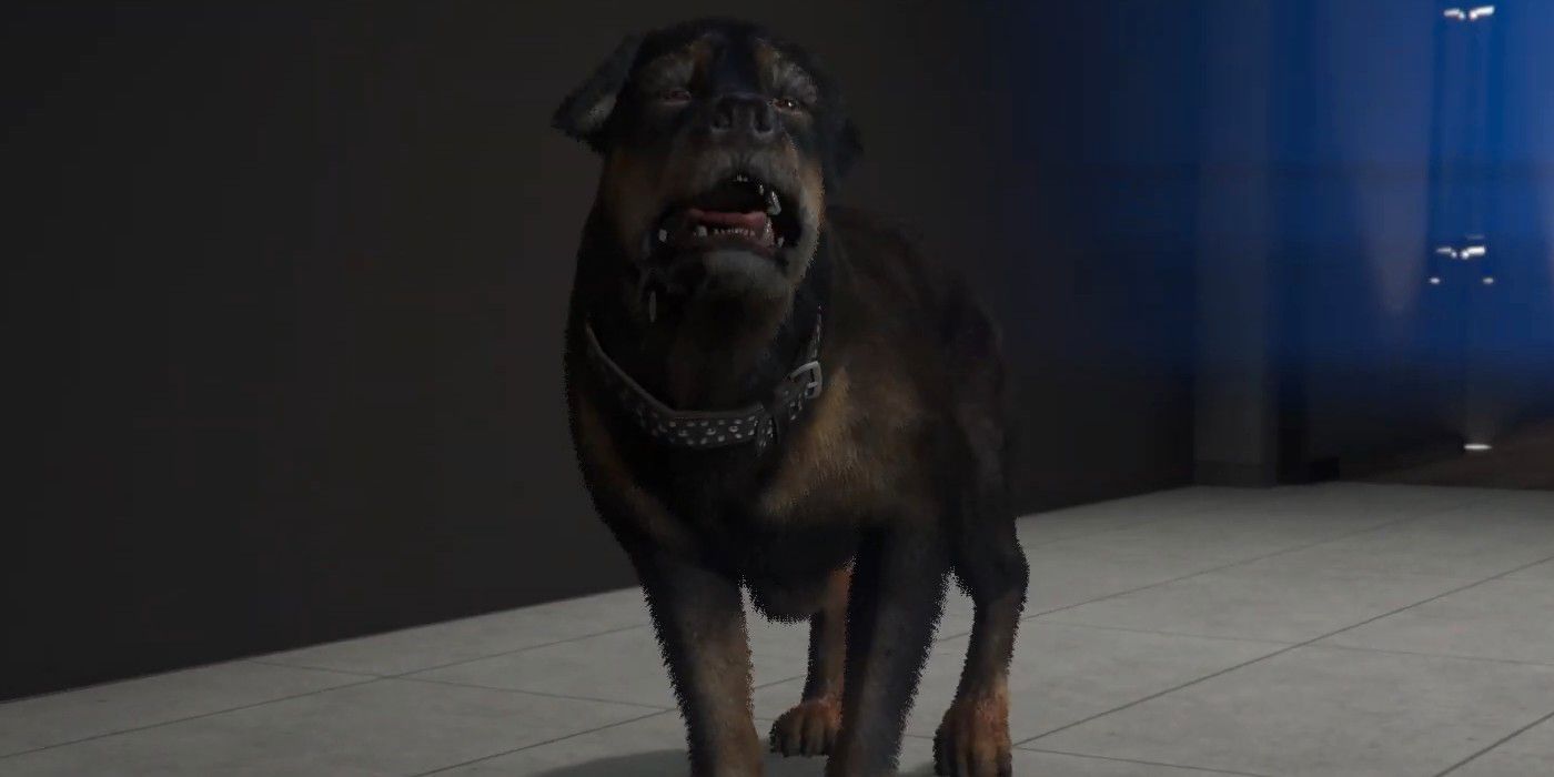 Al jugador de GTA Online le roban la cama de la forma más adorable