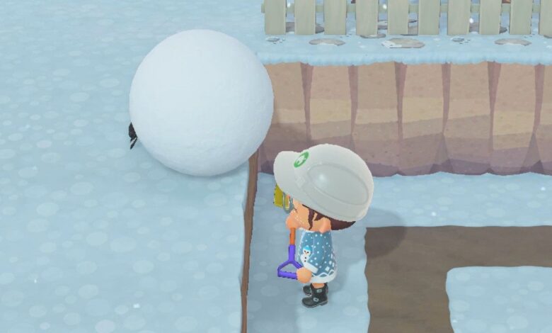 Animal Crossing Bug lanza una bola de nieve sobre la cabeza de un jugador inactivo