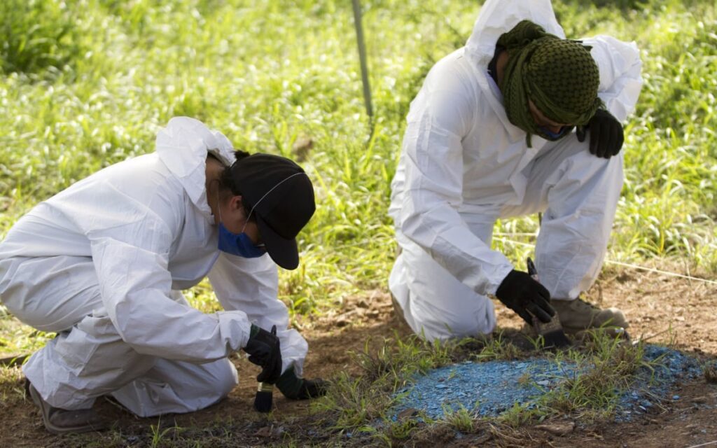 Aseguran 2 mil 424 fragmentos óseos en Rancho Dolores, Chihuahua