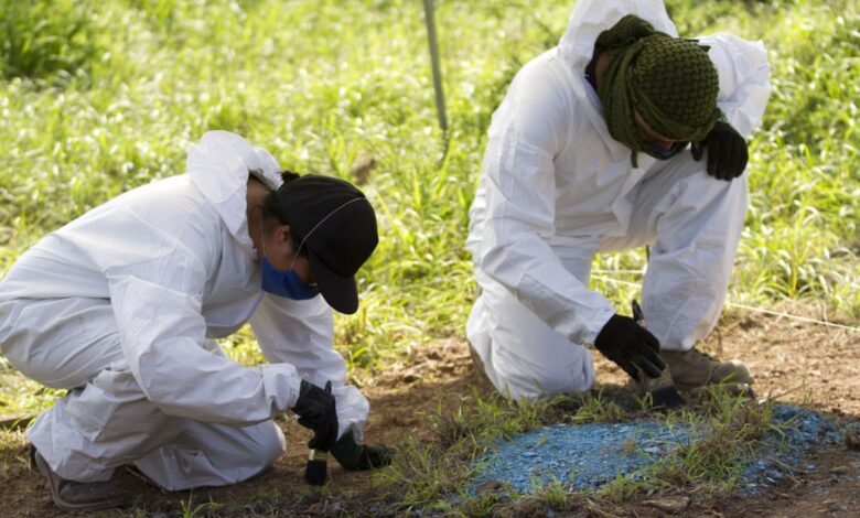 Aseguran 2 mil 424 fragmentos óseos en Rancho Dolores, Chihuahua
