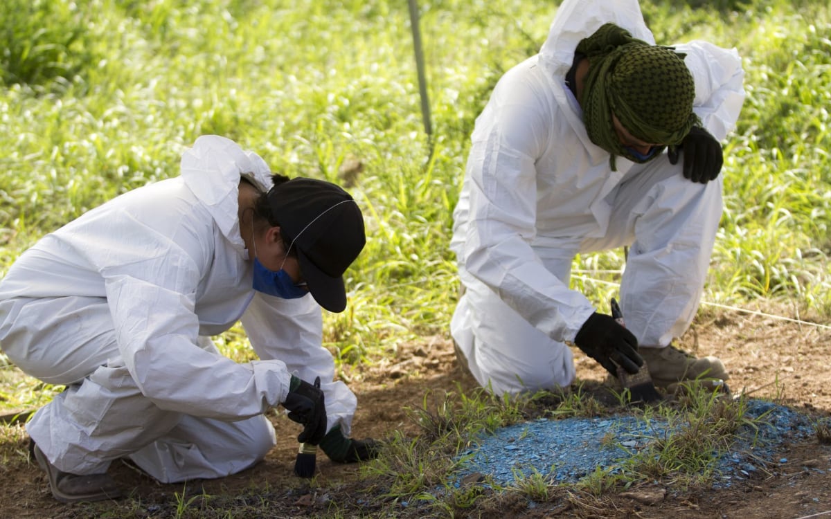 Aseguran 2 mil 424 fragmentos óseos en Rancho Dolores, Chihuahua