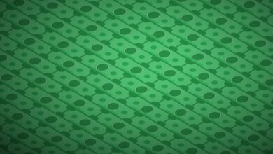 Conozca SeekOut, una startup rentable de contratación diversa que acaba de recaudar $ 65 millones