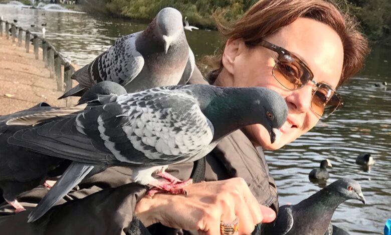 "Dejaré el Senado", tuitea Lilly Téllez junto a 'inocentes palomitas'
