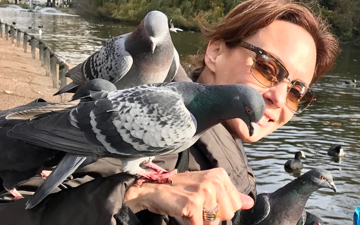 “Dejaré el Senado”, tuitea Lilly Téllez junto a ‘inocentes palomitas’