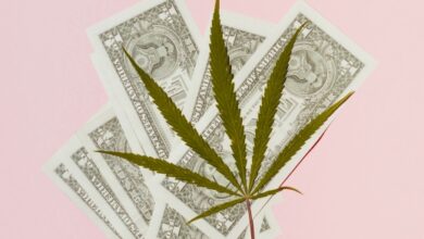 El gigante del cannabis Leafly se hace público a través de una fusión de SPAC