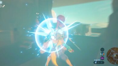 El jugador de Breath of the Wild muestra una técnica para practicar la parada