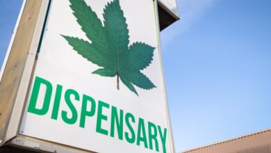 El prestamista de cannabis Bespoke Financial recauda $ 8 millones de Casa Verde Capital y Sweat Equity Ventures