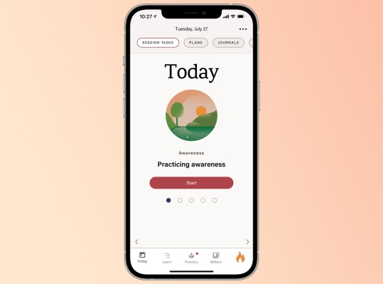 El programa de terapia digital para la fibromialgia recibe la designación de dispositivo innovador de la FDA