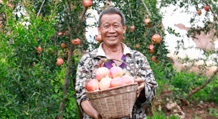 El último objetivo de Pinduoduo: vender $ 145 mil millones de productos agrícolas en 2025