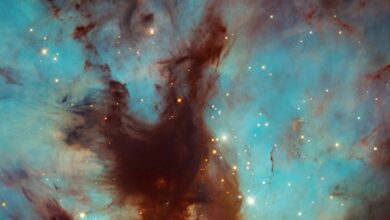 Esta foto del Hubble de una 'nebulosa de las llamas' parece sacada de una película de ciencia ficción