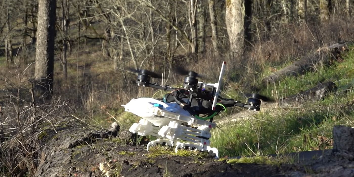 Este pájaro robótico puede aterrizar en las ramas y es salvaje