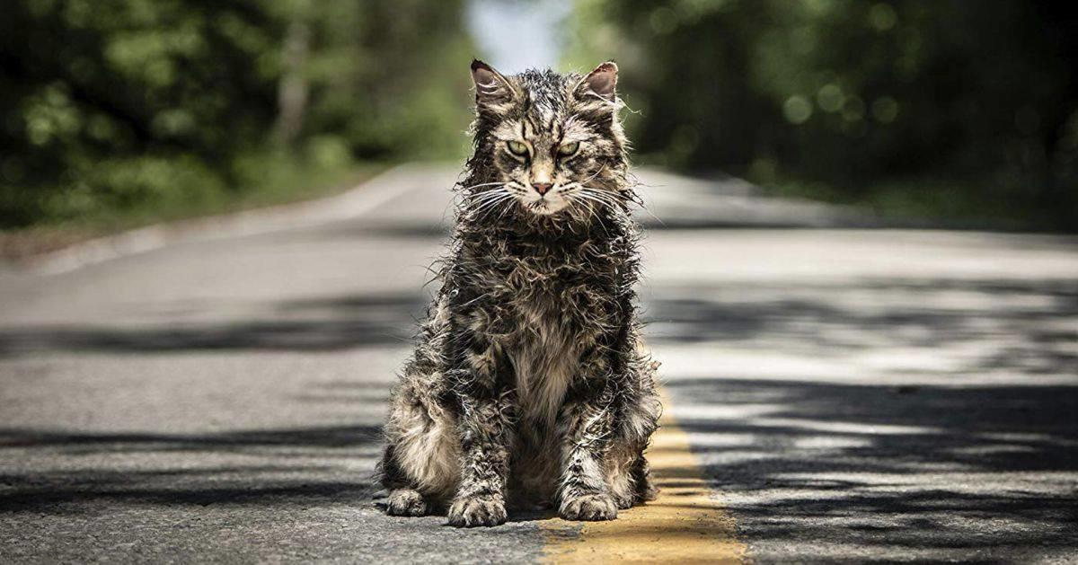 Guillermo del Toro revela la adaptación de Stephen King que le gustaría hacer