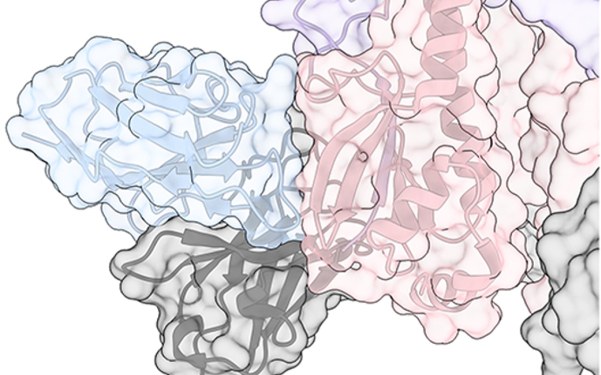 Identifican 'talón de Aquiles' del virus de la gripe, un avance para desarrollar una vacuna universal