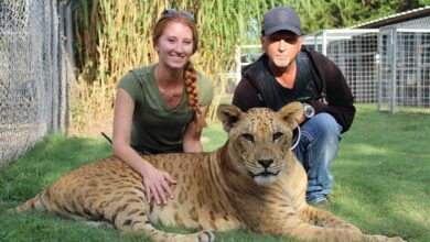 Jeff Lowe de Tiger King tiene prohibido exhibir animales de por vida