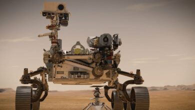 La NASA acaba de revelar una tonelada de descubrimientos 'sorprendentes' de Marte a partir de la perseverancia