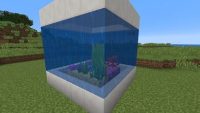 La construcción del jugador de Minecraft convierte a los espectadores en un pez dentro de una pecera