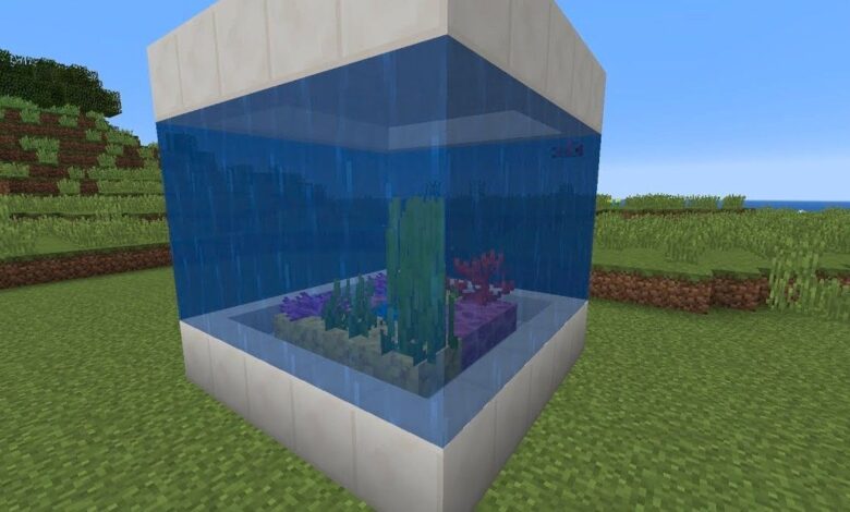 La construcción del jugador de Minecraft convierte a los espectadores en un pez dentro de una pecera