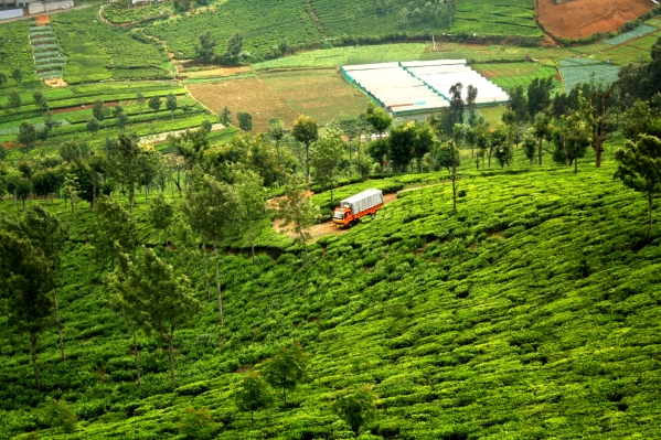 La startup india de SaaS de logística, FarEye, recauda $ 100 millones