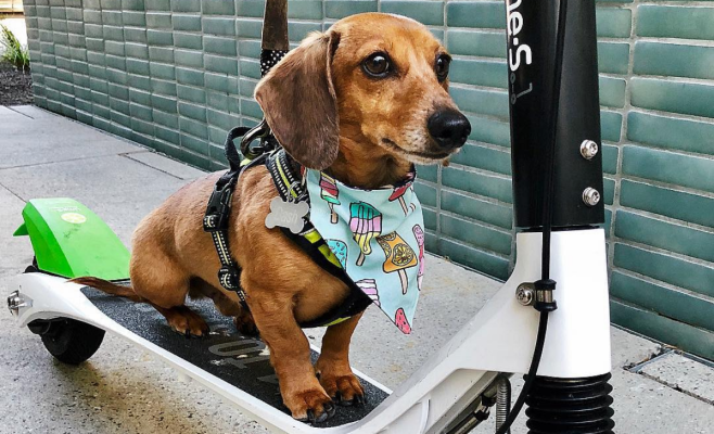 Lime abrirá ‘tiendas de estilo de vida’ de scooters tradicionales