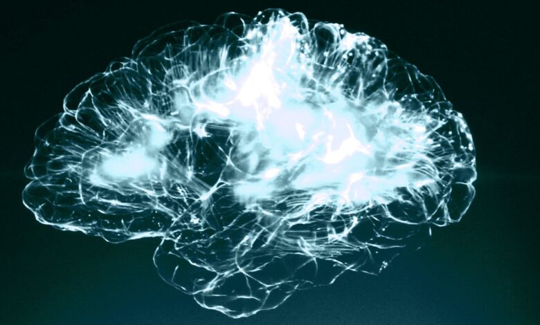 Los científicos enseñaron a las células cerebrales vivas a jugar al pong y funcionó