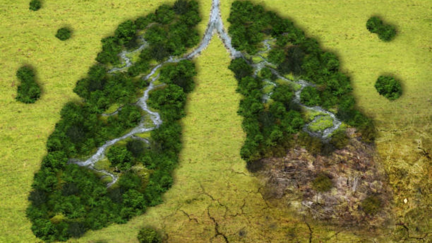 Los únicos países que se pueden librar del cambio climático