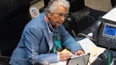 No procede que Senado impugne decreto de AMLO, argumenta Sánchez Cordero