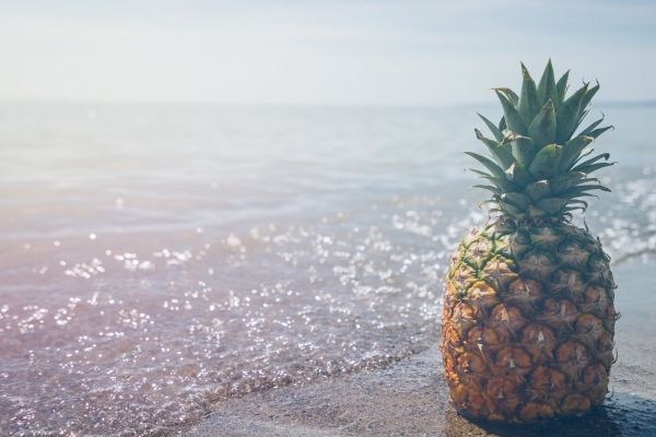 Pineapple Fund gasta $ 1 millón en Sustainable Ocean Alliance y su nueva aceleradora